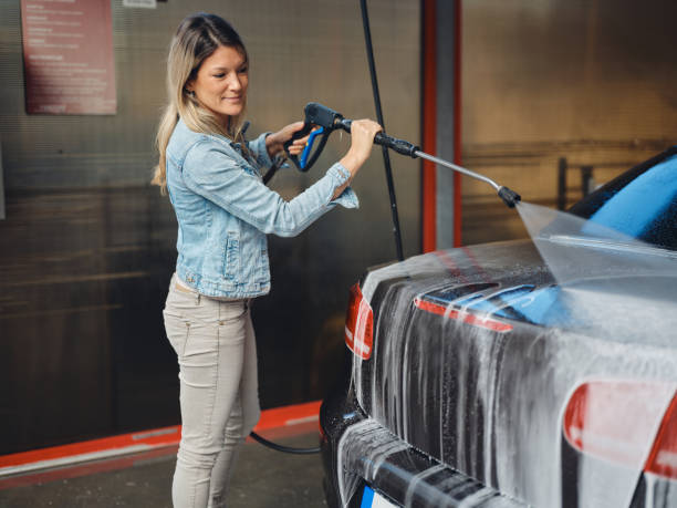 Best Roof Pressure Washing  in Greenwood, PA